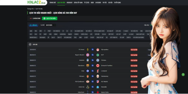 User-Friendly Interface and Accessibility